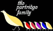 partridgefamily.jpg